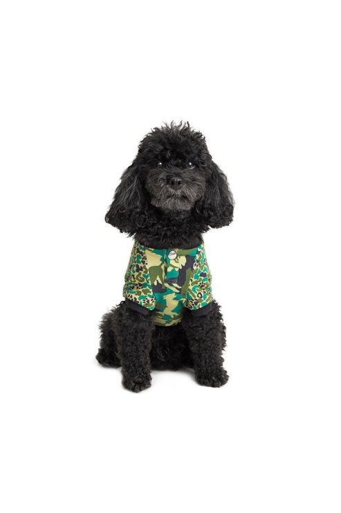 Diesel Animal De Compagnie-loup-cmf Camouflage Vert