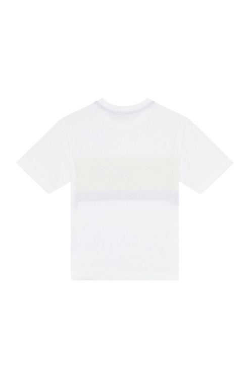 Diesel Ltreapdiv Sur Blanc