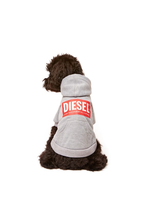 Diesel Pet-scotto Gris