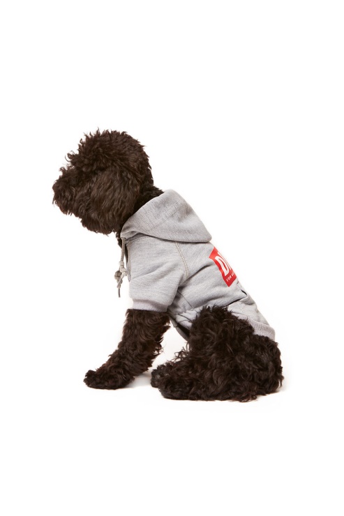 Diesel Pet-scotto Gris