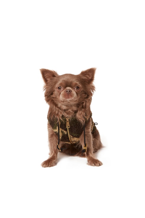 Diesel Pet-ilitaire Vert Militaire