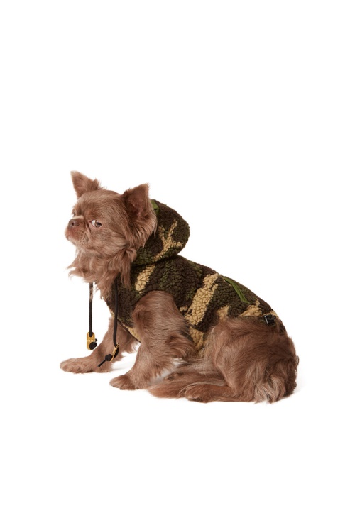 Diesel Pet-ilitaire Vert Militaire