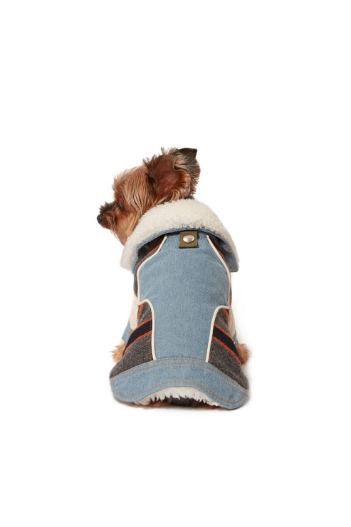 Pet-ed Diesel Bleu Clair