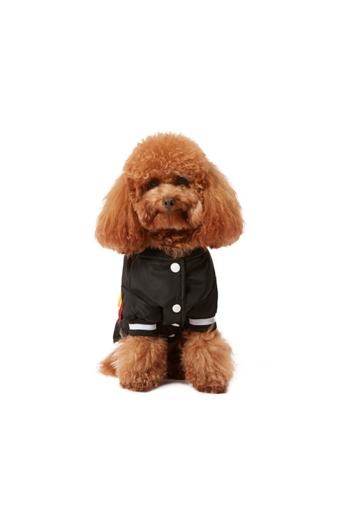 Diesel Pet-chwork Noir