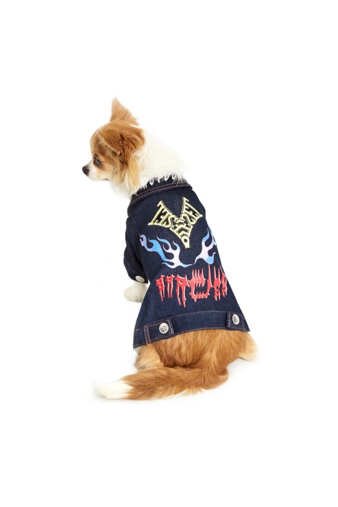 Pet-flames Diesel Bleu Foncé