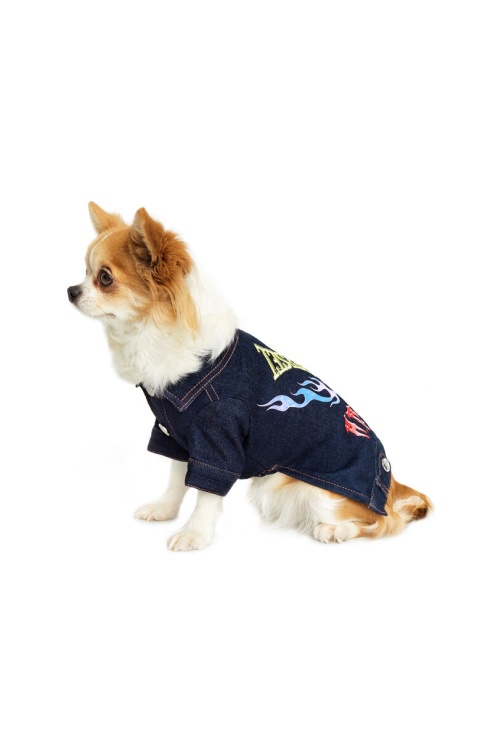 Pet-flames Diesel Bleu Foncé