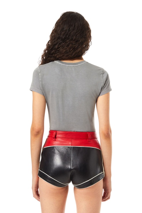 Gris Diesel T-sli-ind