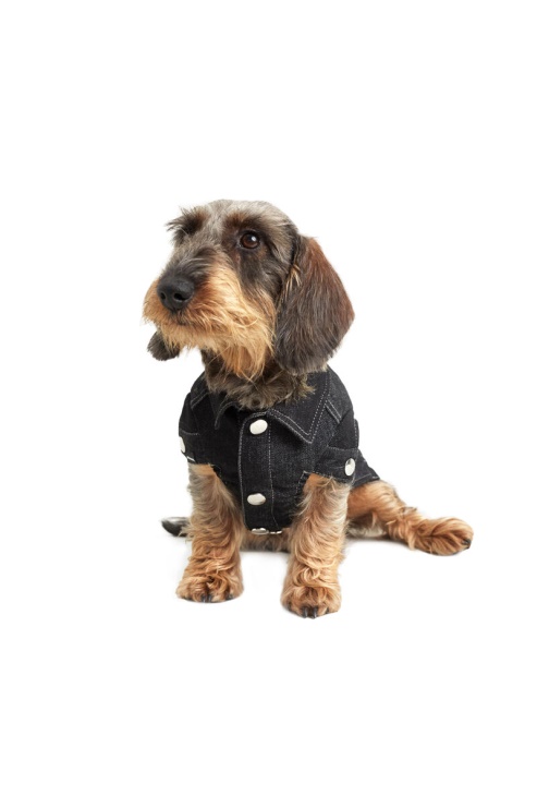 Tigres De Compagnie Diesel Noirs