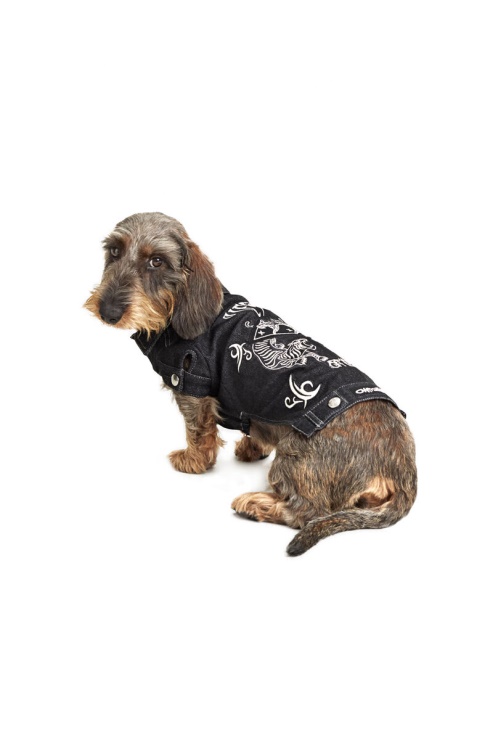 Tigres De Compagnie Diesel Noirs