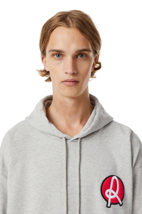 Lr-s-girk-hood-vic Diesel Gris Clair