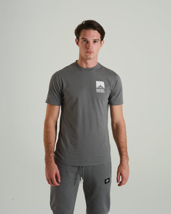 Tee Sauvage Escalade Diesel Gris