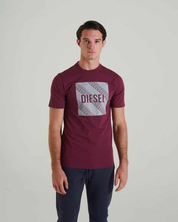 Garric Tee Berry Diesel Vin