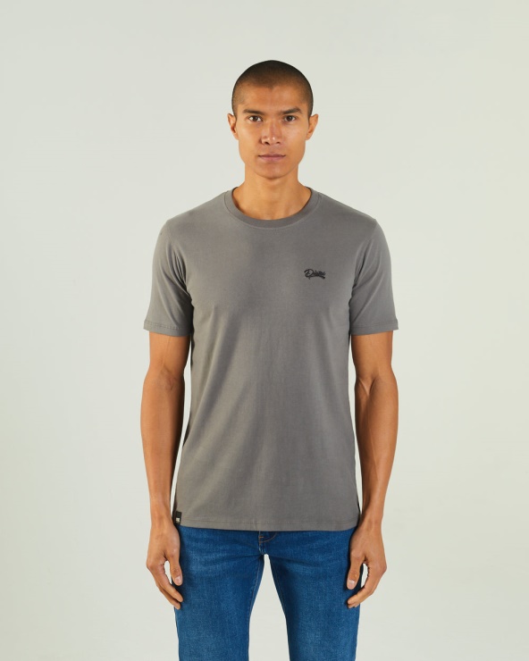T-shirt Gris Basic Scott Col Rond Rock Climbing Diesel