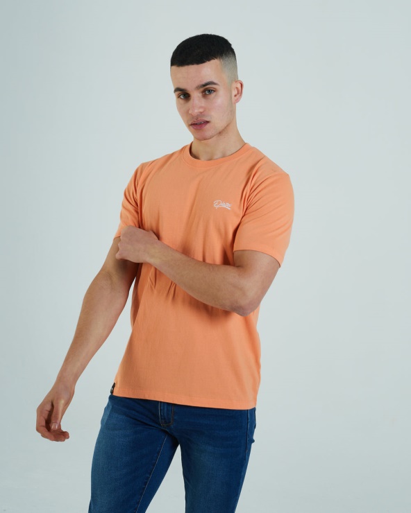 Diesel Basic Scott O Neck Tee Cosmic Corail Orange