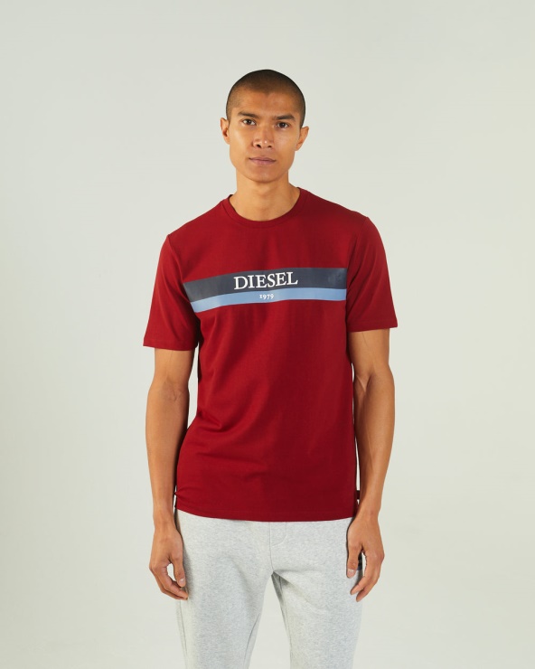 Tee Shirt Hoyt Bleu Marine Dahlia Rouge Diesel