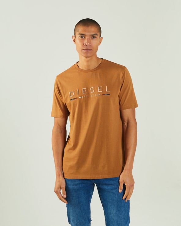 Tee Shirt Fabriccio Rose Feuille D'érable Diesel