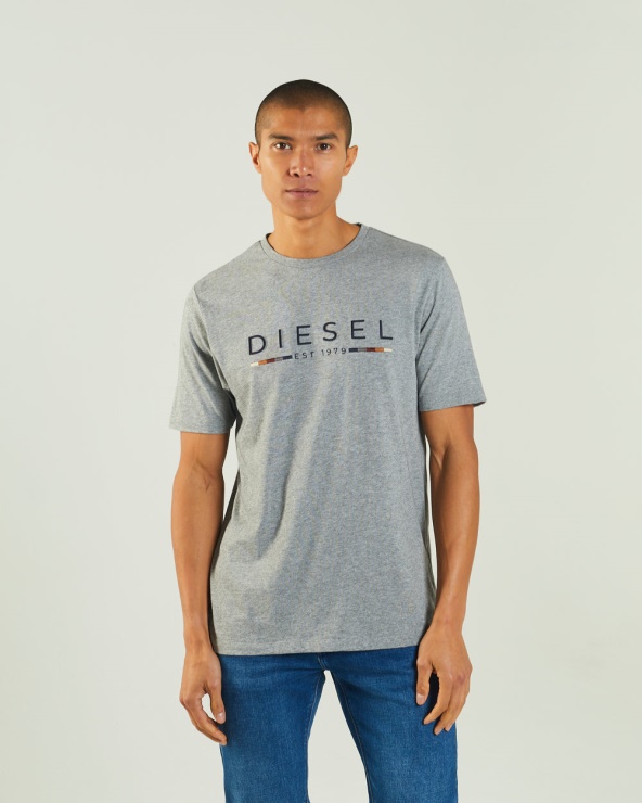 Diesel Fabriccio Tee Gris Chiné Blanc
