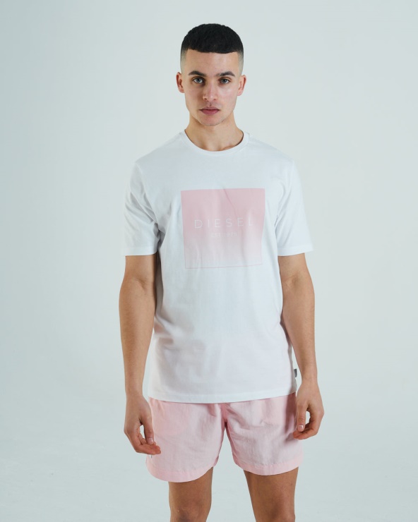 Tee Shirt Diesel Stuart Bleu Colombe