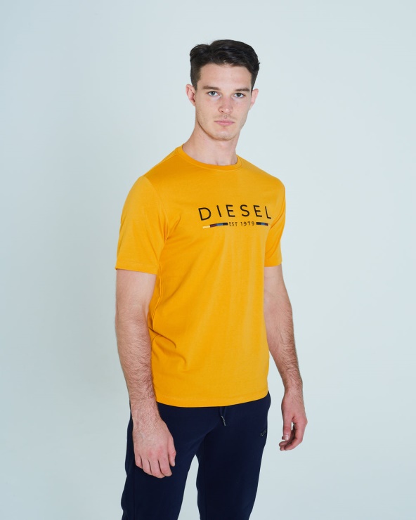 Tee Leyton Blanc Glaçure D'automne Diesel