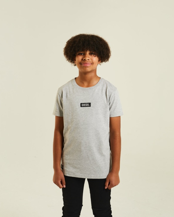Tee Shirt Jim Diesel Gris Chiné